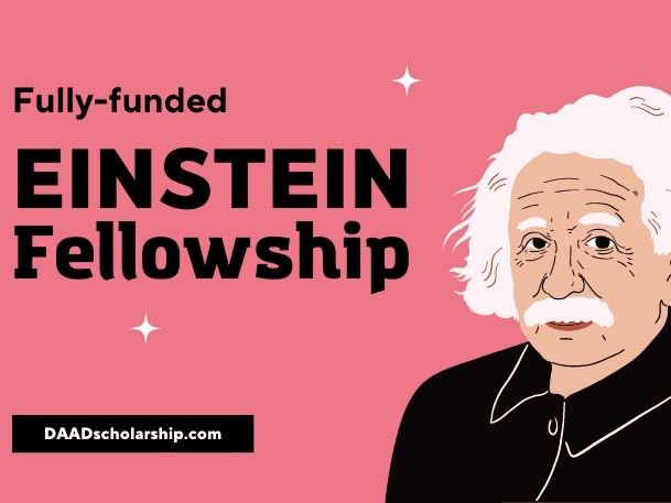 Einstein Fellowship