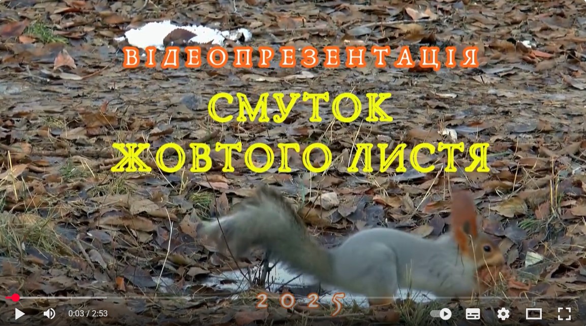 30 вересня - Всеукраїнський день бібліотек