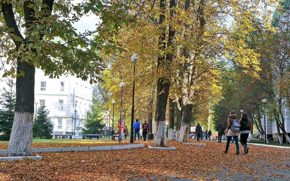 Осінь у ДПУ: краса, що дає сили…